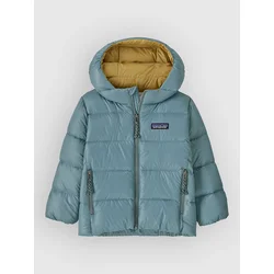 Patagonia blue sage