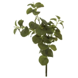 Shishi Vejica pačulija 33 cm