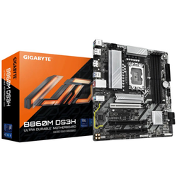 GIGABYTE B860M DS3H rev. 1.0