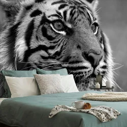 Fototapeta bengalski črno-bel tiger - 539x363