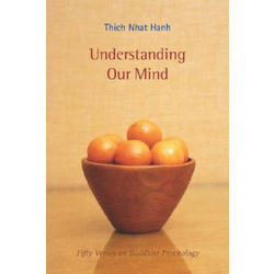 Understanding Our Mind