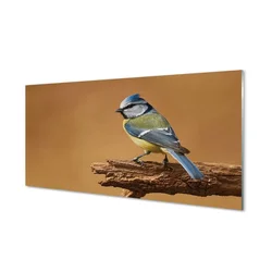 tulup.si Steklena slika Bird 140x70 cm 4 obešalnika