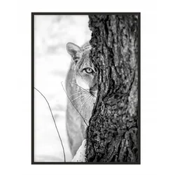 shumee PLAKAT ZA SLIKE V OKVIRJU 43x33 cm Panter P1149