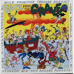 Various Artists - Back From The Grave Volume 5 (Reissue) (LP)