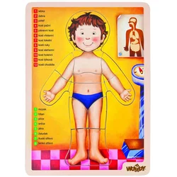 Woody Puzzle ljudsko telo engleska verzija 90332