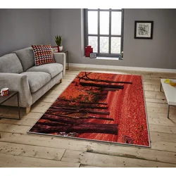 Conceptum Hypnose Tepih Asr Crpt-15, Pravougaoni, 100 x 140 cm, Narandžasti