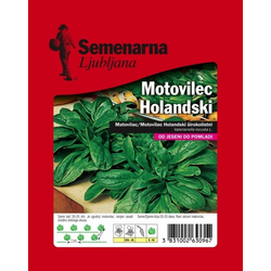 SEME SEMENARNA Motovilec Holandski 25 gr