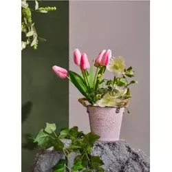 Sinsay - Dekorativna biljka – tulipani - roze