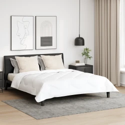 Jastuk s jastukom 2 pcs Bijelo 60 x 80 cm Perje