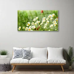 tulup.si Steklena slika Daisy rastlin narava 125x50 cm 2 obešalnika