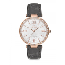 OMAX sat GT00R69I