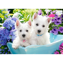 Puzzle Castorland Puzzle C-104956 Puzzle 1000 elemente cumpăra la preț