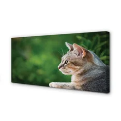 tulup.si Slika na platnu Išče mačka 140x70 cm