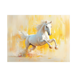 Canvas Slika na platnu Beli konj, 60x45cm