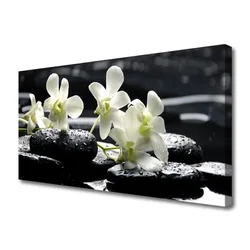 tulup.si Slika na platnu Stones orhidejo rastlin 140x70 cm