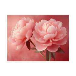 Canvas Slika na platnu Roze božuri, 120x90cm