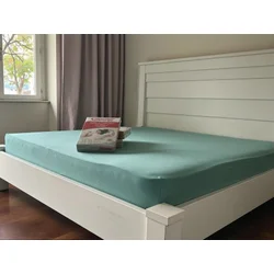 Čaršav Pamuk - Lastiš 160x200/25cm Green color ( VLK000322-greenn )
