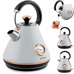 Berdsen BD-701 siva