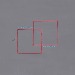 Pinegrove - Cardinal (Limited Edition) (LP)
