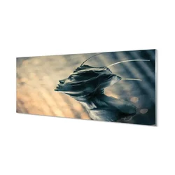 tulup.si Slika na akrilnem steklu Oblika glave 140x70 cm 2 obešalnika