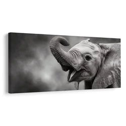 Slika vesel trenutek slona - 80x40