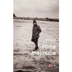 Godina majmuna