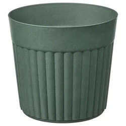 FRÄKENVÄXT Saksija, unutra/spolja/zagasitozelena, 24 cm