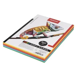 App papir fotokopir a4 paperline 1/250 neon mix ( 30097 )