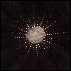 Nat Baldwin - In The Hollows (LP)