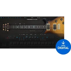 Ample Sound Ample Guitar PF - AGPF (Digitalni izdelek)