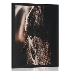 Plakat veličastni konj - 40x60 silver