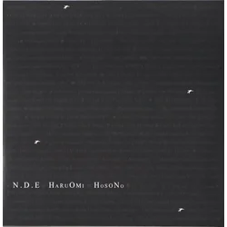 Haruomi Hosono - N . D . E (Reissue) (2 x 12 Vinyl)
