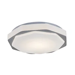 RABALUX LED plafonjera Dettora sa daljinskim dimabilna siva