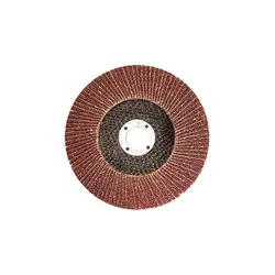 Brusni disk lamelasti 125 mm P 25 740419