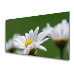 tulup.si Steklena slika Daisy na wall 140x70 cm 2 obešalnika