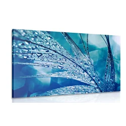 Slika kaplje jutranje rose - 120x80