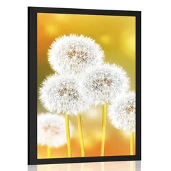 Plakat puhasta regratova lučka - 30x45 white