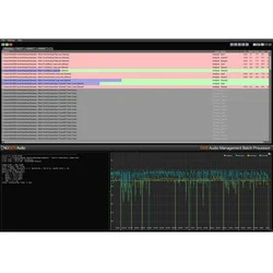 Nugen Audio AMB MXF Module (Digitalni izdelek)