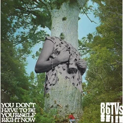86Tvs - You Dont Have To Be Yourself Right Now (RSD 2024) (10)