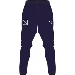 Puma teamRISE Poly Trg Pants Jr