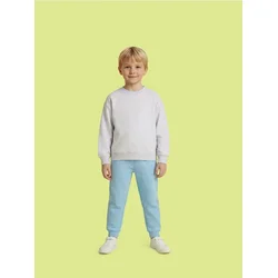 Sinsay - Basic crewneck dukserica - svetlo siva