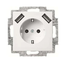 Busch-Jaeger Busch-Jaeger SCHUKO-2x USB vtičnica 20 EUCB2USB-914, (20888070)