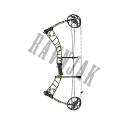 Mission Compound Bow Switch