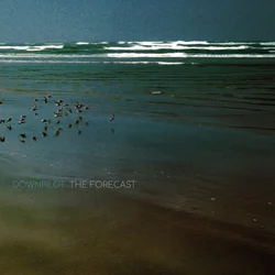 Downpilot - The Forecast (LP)