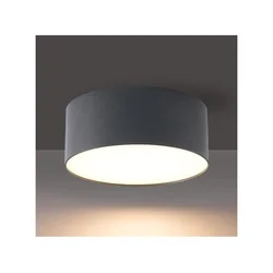 BRILAGI - LED spoljašnje plafonsko svetlo FORIS LED/20W/230V pr. 15 cm antr IP44