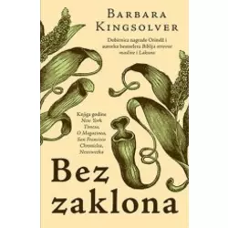 Bez zaklona