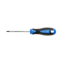 Hogert Odvijač torx T30 100mm