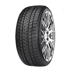 Gripmax Status Pro Winter ( 225/40 R20 94V XL )