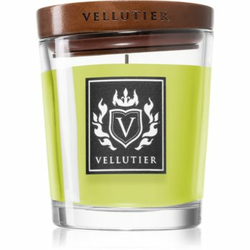 Vellutier Ancient Oakwoods dišeča sveča 90 g