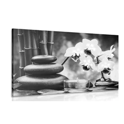 Slika Spa tihožitje v črnobeli izvedbi - 90x60